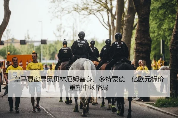 皇马夏窗寻觅贝林厄姆替身，多特蒙德一亿欧元标价重塑中场格局