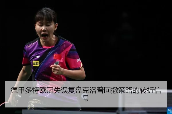 de-jia-duo-te-ou-guan-shi-wu-fu-pan-ke-luo-pu-hui-che-ce-lve-de-zhuan-zhe-xin-hao-2-815.jpg